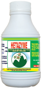 shrimp’s hepatopancreas