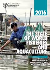 THE STATE OF WORLD FISHERIES AND AQUACULTURE