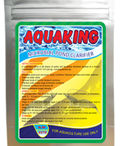 Men vi sinh xử lý ao nuôi tôm, cá