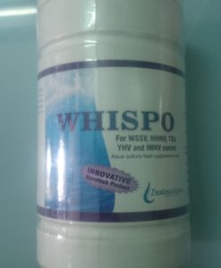 Phòng ngừa hiệu quả những bệnh do virut gây ra trên tôm