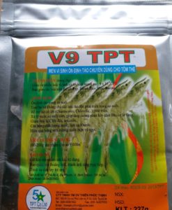 Men vi sinh chuyên xử lý tảo độc trong ao nuôi