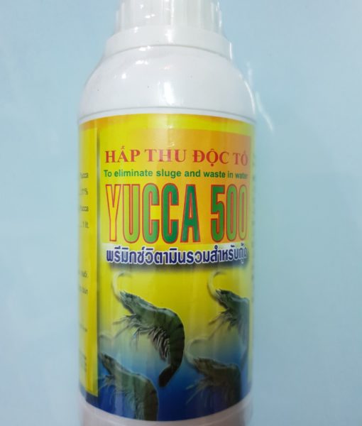 Yucca500
