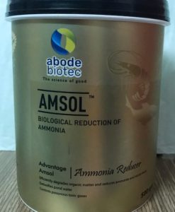 Biological reduction of ammonia and nitrie