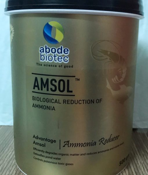 AMSOL 2020