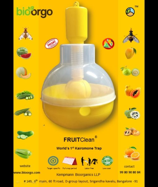 FruitClean Bẫy ruồi vàng